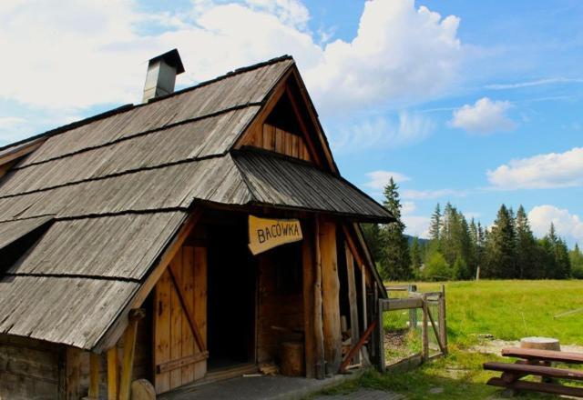Apartament Bazatatry Swistak Zakopane Exteriör bild