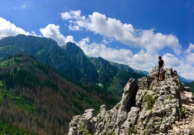 Apartament Bazatatry Swistak Zakopane Exteriör bild